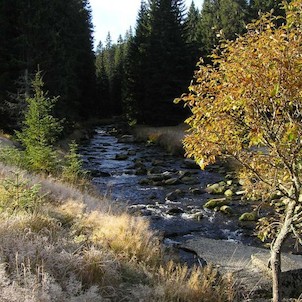Modravský potok