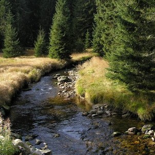 Modravský potok