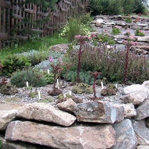 Botanická zahrada - horská květena