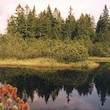 files/gallery/3653/25547.jpg