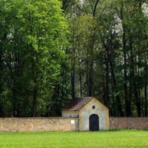 Židovský hřbitov v Sedličkách u Jičína