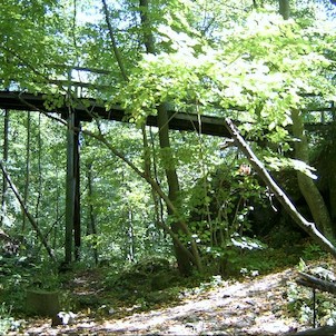 Mostek u Lopaty, mostek,vedouci ke zricenine (primo u zriceniny)