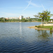 Senecký rybník