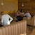 CrossCafe Solní