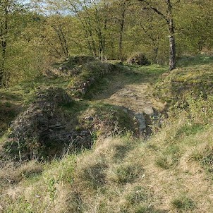 Věžka, Zbytky hradu