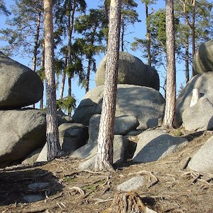 Žihle