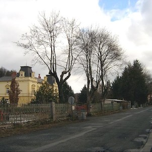 Madlonova ulice a Hirschova vila