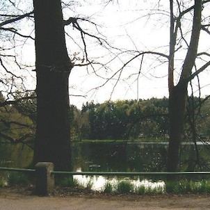 Rybník - Konopiště 1