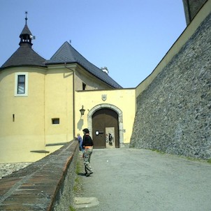 Vstupní brána