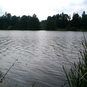 rybník