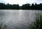 rybník