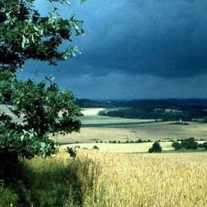 Votice - Borovíčko