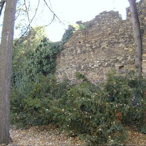 Pakostův park, severovýchodní, vnější hradby, poblíž Duslovy vily