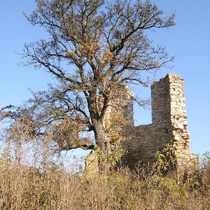 Zřícenina kaple, Šikmé výběhy zdiva ukazují, že muselo jít o stavbu polygonálního půdorysu. Z úhlů fragmentů lze soudit, že šlo o půdorys protáhlého dvojose symetrického osmiúhelníku, o vnější straně 380 cm.