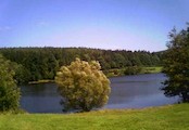 Záskalák