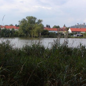 Rybník v Žebráce, v pozadí hrad Točník