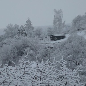 první sníh - prosinec 2008