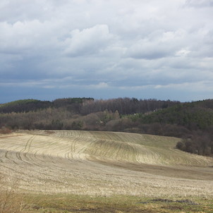 Kostelec nad Černými lesy