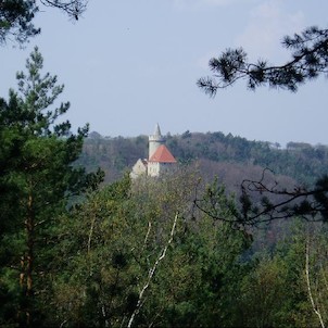 Kokořín