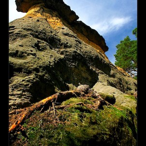 Pokličky