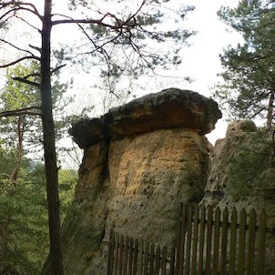 Pokličky