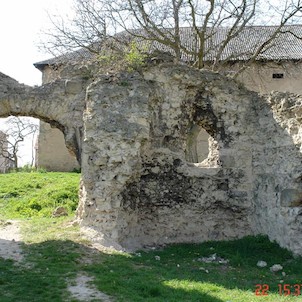 Dražice