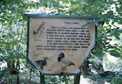 zastávka 5