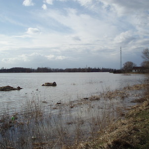 Čelakovice, Malvíny