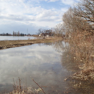 Čelakovice, Malvíny