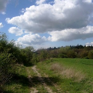 Polní cesta z Dobročovic ke Květnické studánce