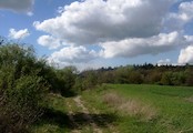 Polní cesta z Dobročovic ke Květnické studánce