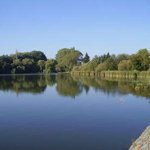 Břevský rybník