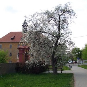 Hradištko pod Medníkem - Zámeček
