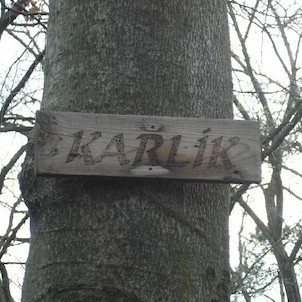 Karlík