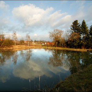 Obecní rybník