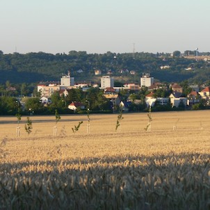 Pohled na Roztoky přes Dubečnici