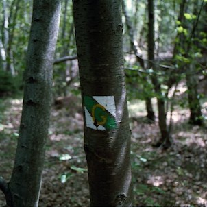 značení ke kameni Gibbon
