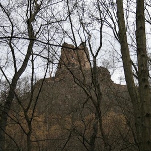 Zřícenina hradu Týřov, Brzy na jaře je zřícenina vidět i mezi stromy bez listí.