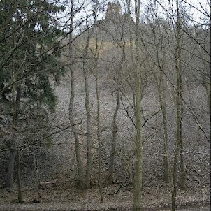 Zřícenina hradu Týřov, Ke zřícenině je to pochopitelně do kopce.