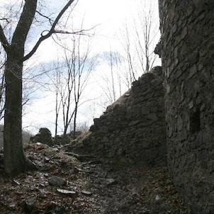 Zřícenina hradu Týřov, Zřícené zdi