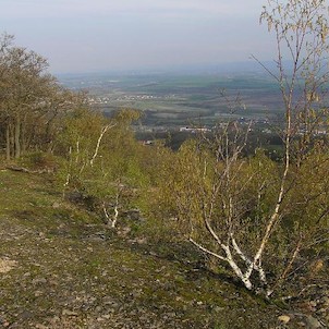 Hradiště, výhledy do kraje