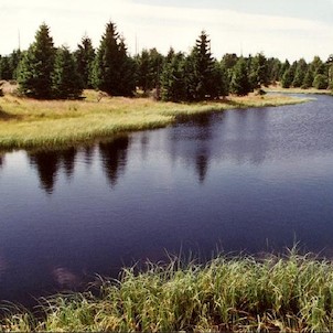 u Novodomského rašeliniště, Nový rybník