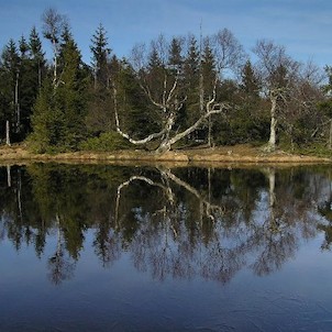 Nový rybník