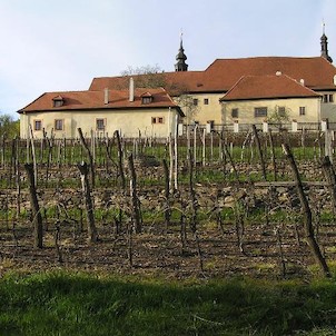 Františkánský klášter, klášterní vinice