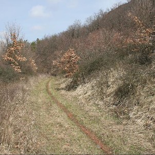 Úhošť, Pod úbořím kopce je to hezká procházka