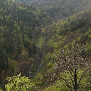 Prunéřovské údolí, pohled z Hasištejna