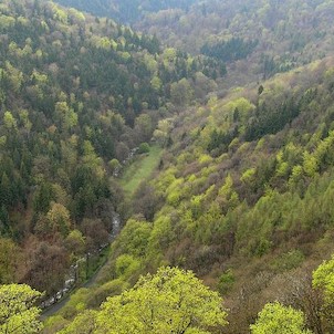 Prunéřovské údolí, pohled z Hasištejna