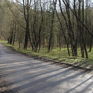 Prunéřovské údolí, silnice vedoucí Prunéřovským údolím
