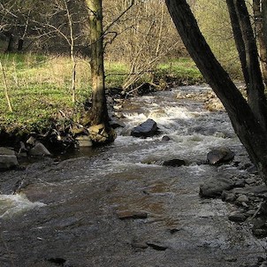 Prunéřovské údolí, Prunéřovský potok