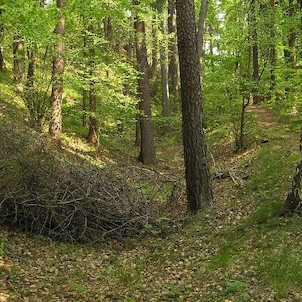 hrad Perštejn, hradní příkop